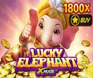 Lucky Elephant X-Huge